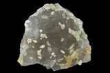 Green Cubic Fluorite Crystals with Calcite - Pakistan #136954-1